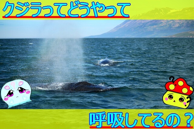 Thumbnail of post image 109